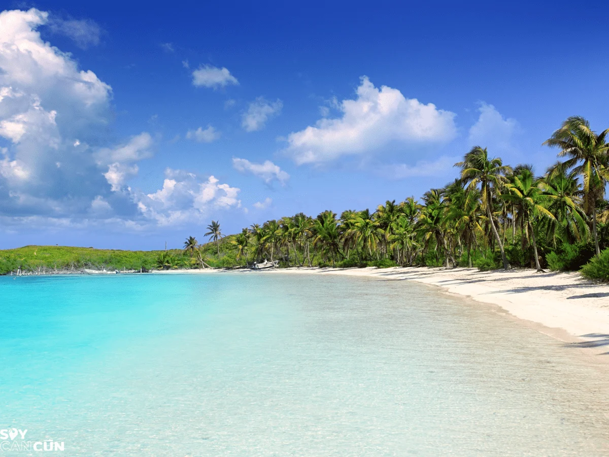 Praia de águas cristalinas e coqueiros em Isla Contoy