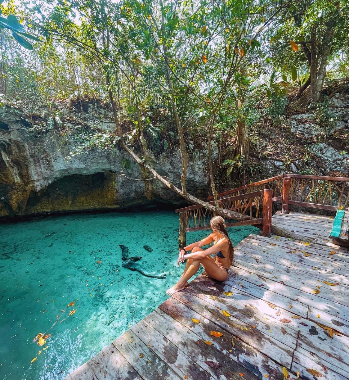 Cenote dos Ojos e Gran Cenote — foto 6