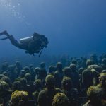 buceo no museu