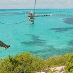 nadar com golfinhos em isla mujeres