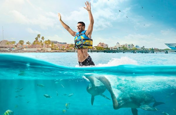 nadar com golfinho em isla mujeres