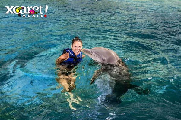 nado com golfinho xcaret