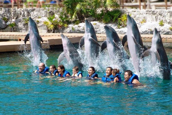 nadar com golfinho no xcaret