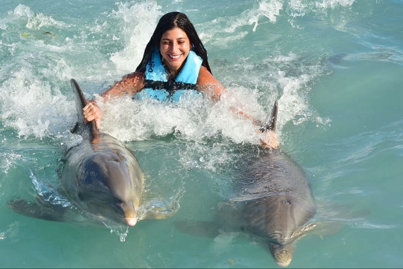 Nado com Golfinhos em Isla Mujeres